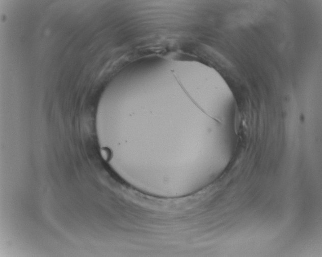 X0000075890035200610062104