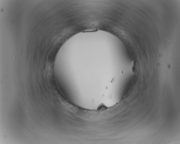 X0000075890037200610062104