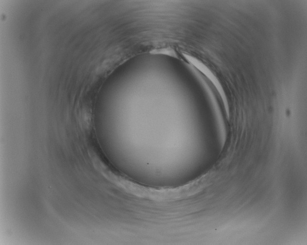 X0000075890039200610062104