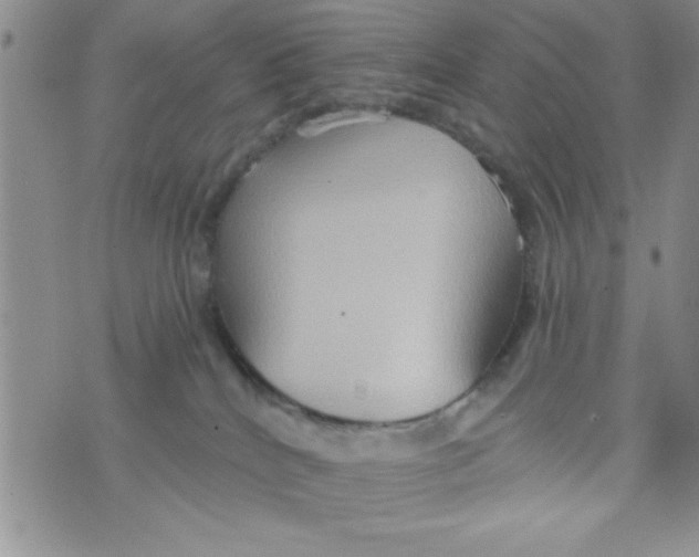 X0000075890040200610062104