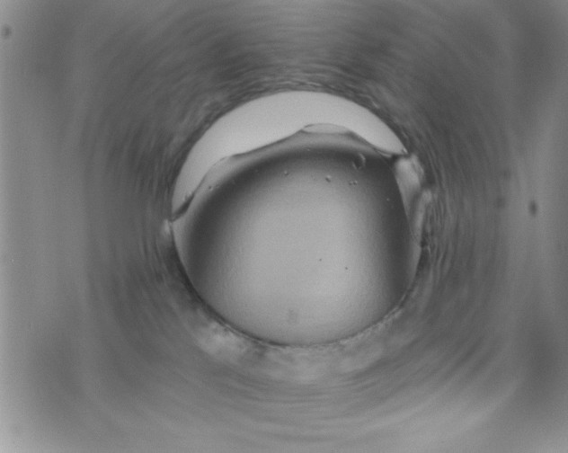 X0000075890041200610062104