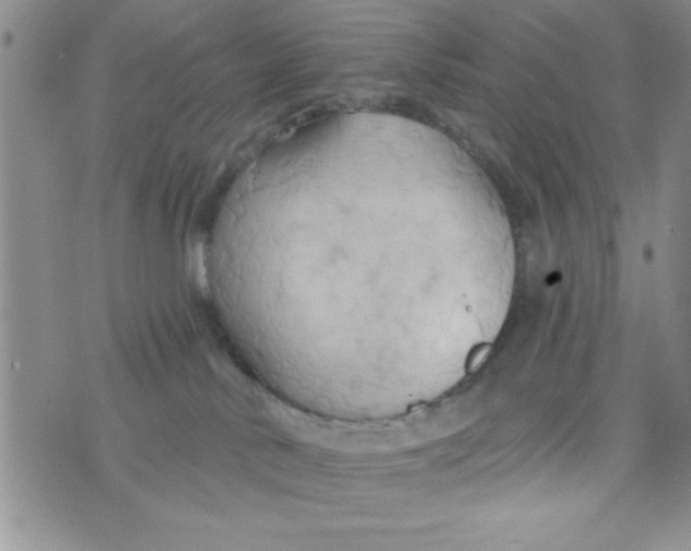 X0000075890042200610062104