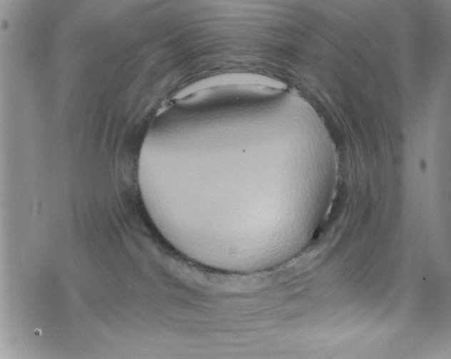 X0000075890044200610062104