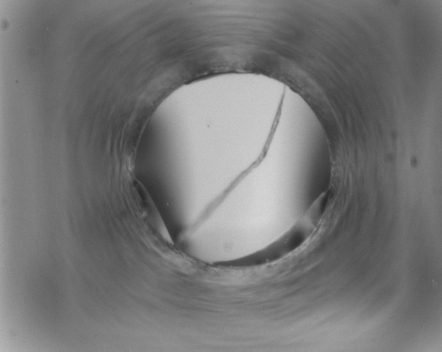 X0000075890045200610062104