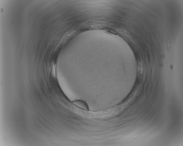 X0000075890046200610062104