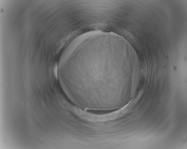 X0000075890047200610062104