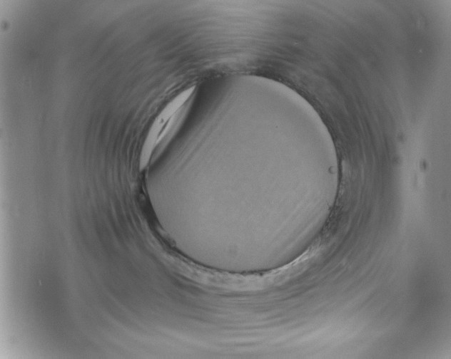 X0000075890048200610062104