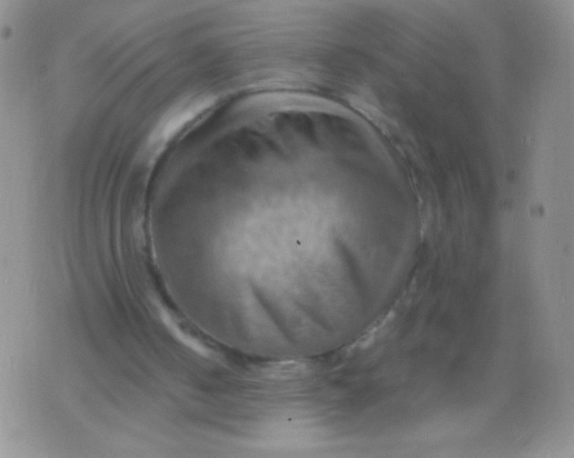 X0000075890050200610062103