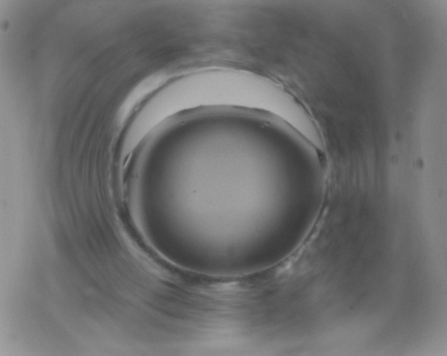 X0000075890054200610062103