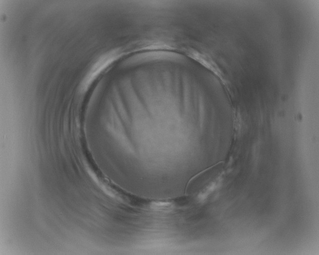 X0000075890055200610062103