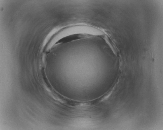 X0000075890056200610062103