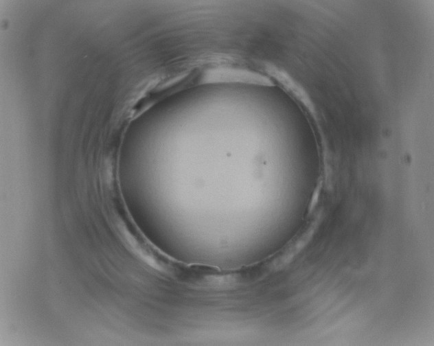 X0000075890057200610062103