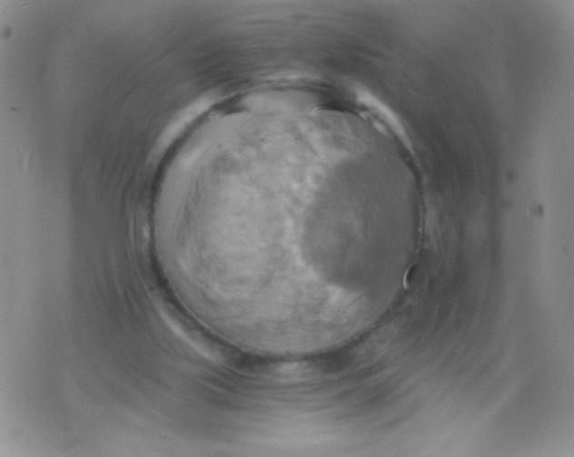 X0000075890059200610062103