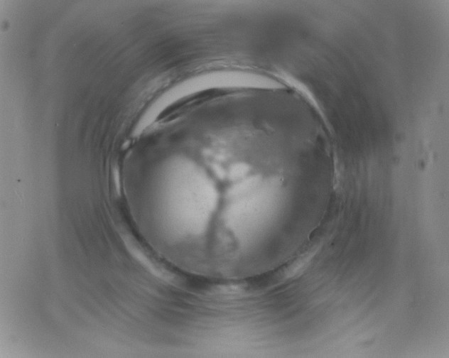 X0000075890061200610062103