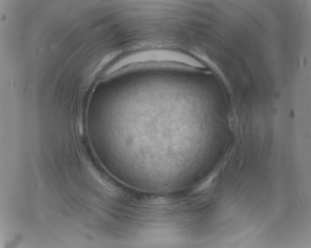 X0000075890062200610062103