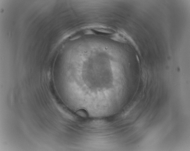 X0000075890063200610062103