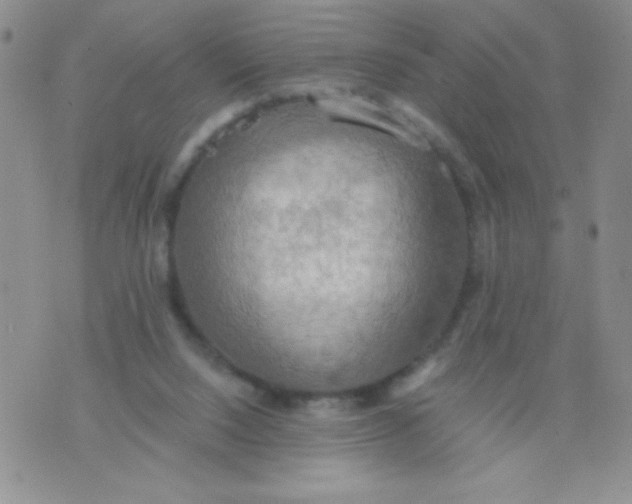 X0000075890064200610062103