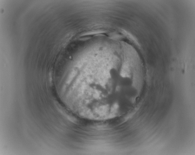 X0000075890065200610062103