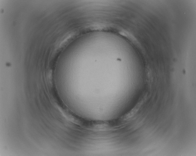 X0000075890066200610062103