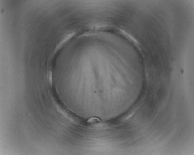 X0000075890067200610062103