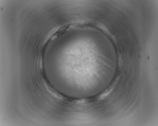 X0000075890068200610062103