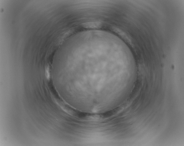 X0000075890069200610062103