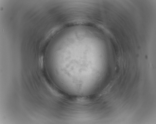 X0000075890070200610062103