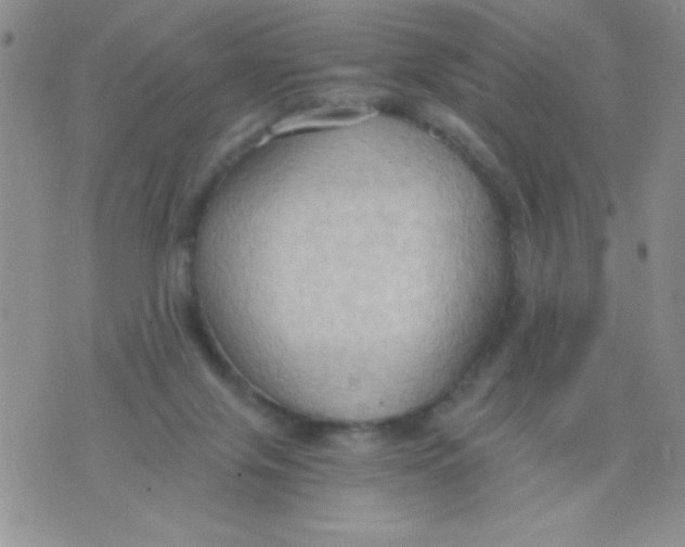 X0000075890071200610062103