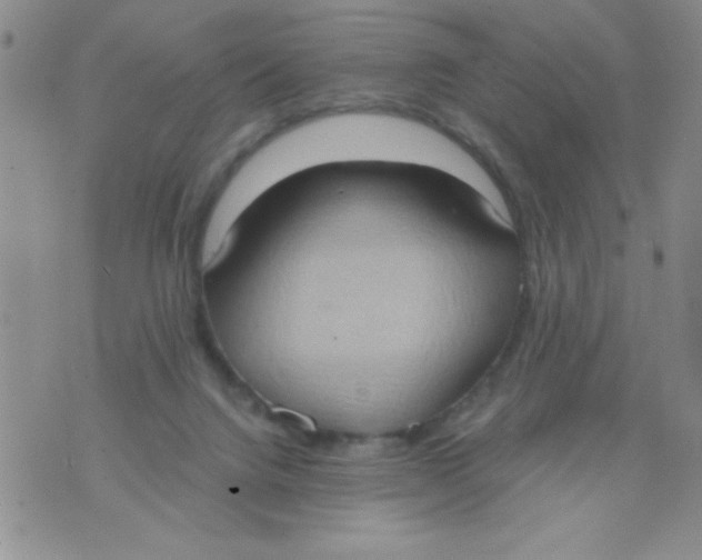 X0000075890072200610062103