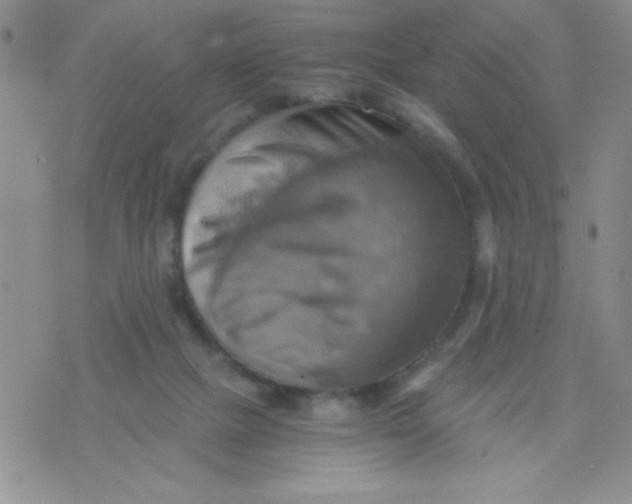 X0000075890073200610062103