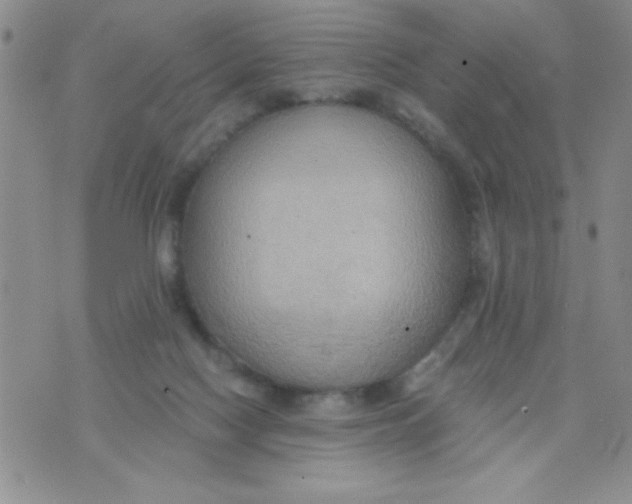 X0000075890074200610062103