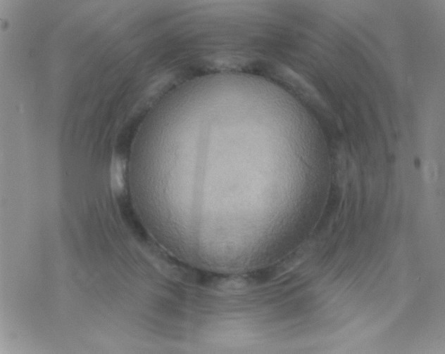 X0000075890075200610062103