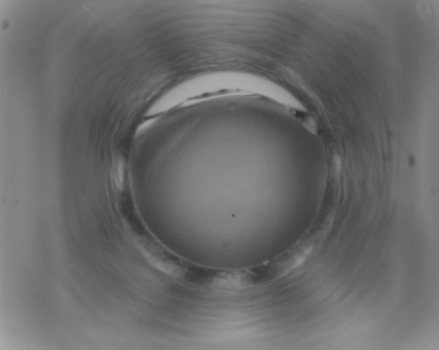 X0000075890076200610062103