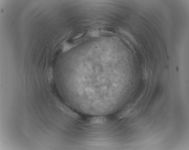 X0000075890077200610062103