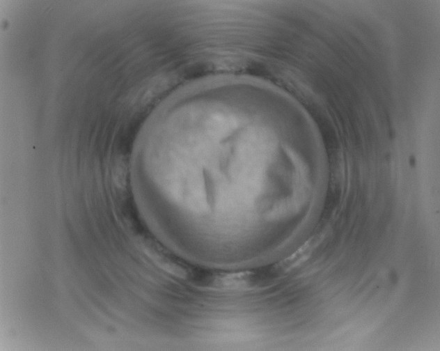 X0000075890078200610062103