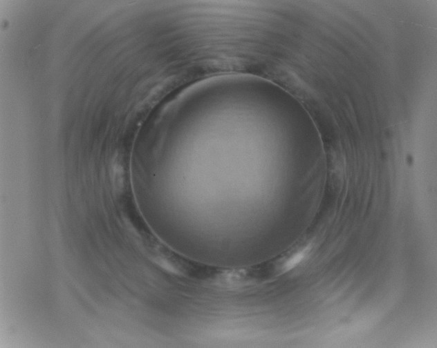 X0000075890080200610062103