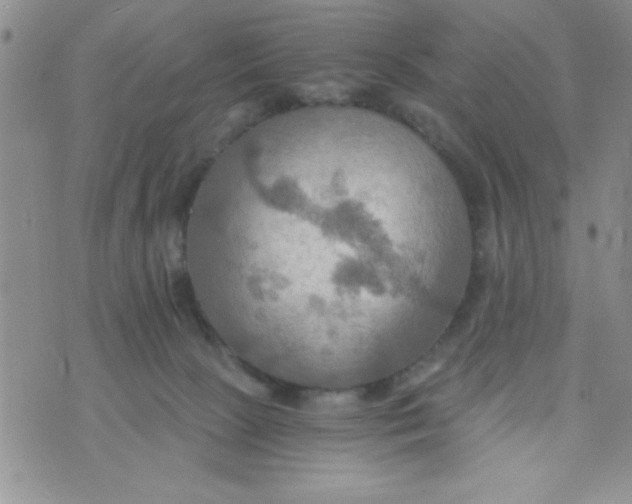 X0000075890081200610062103