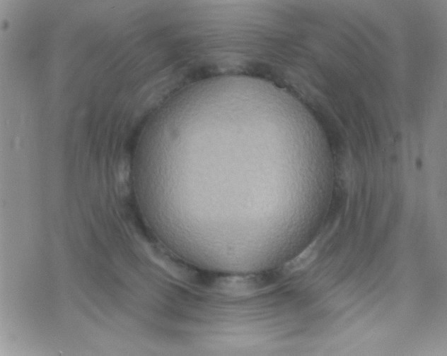 X0000075890082200610062103