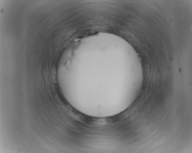 X0000075890083200610062103