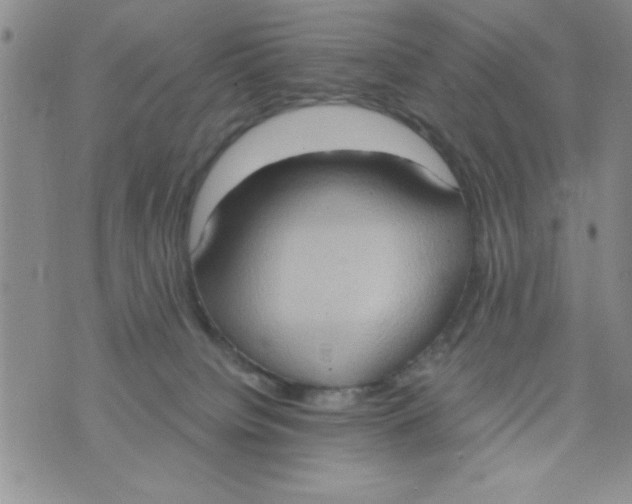 X0000075890084200610062103