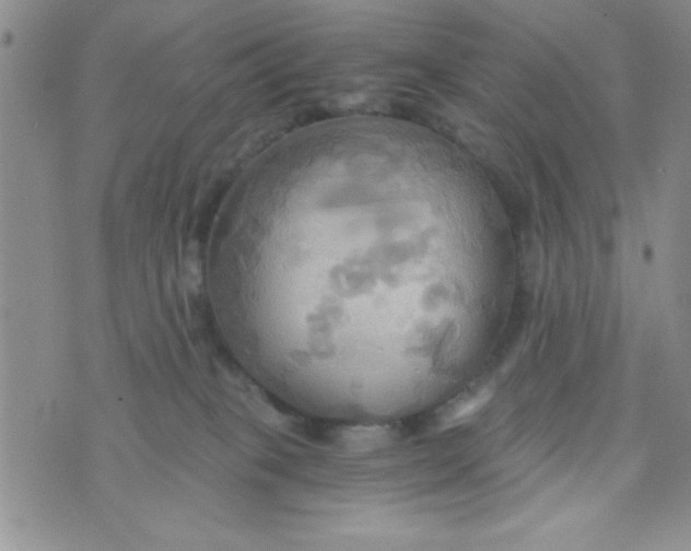 X0000075890085200610062103