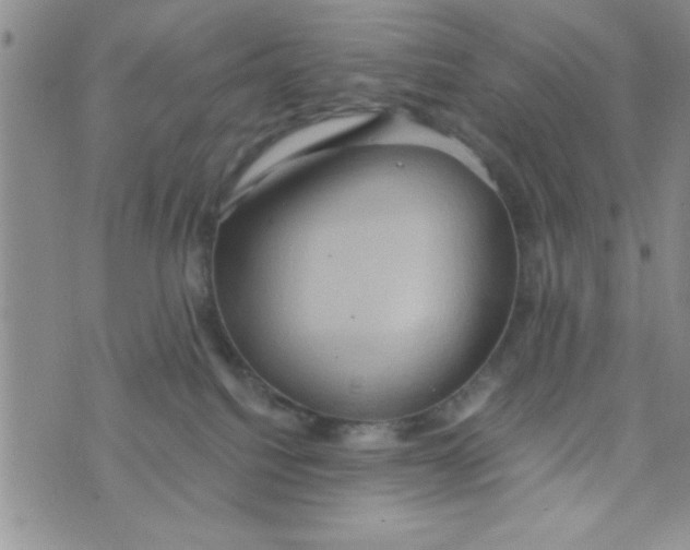 X0000075890088200610062103