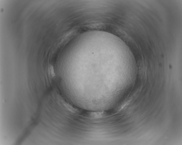 X0000075890089200610062103