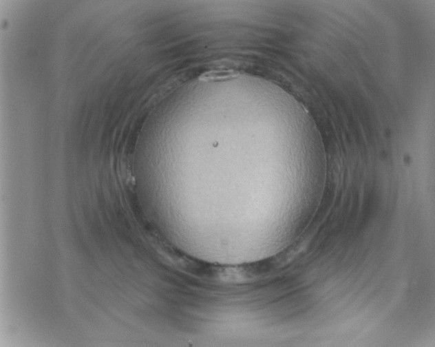 X0000075890091200610062103