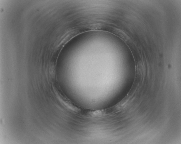 X0000075890092200610062103