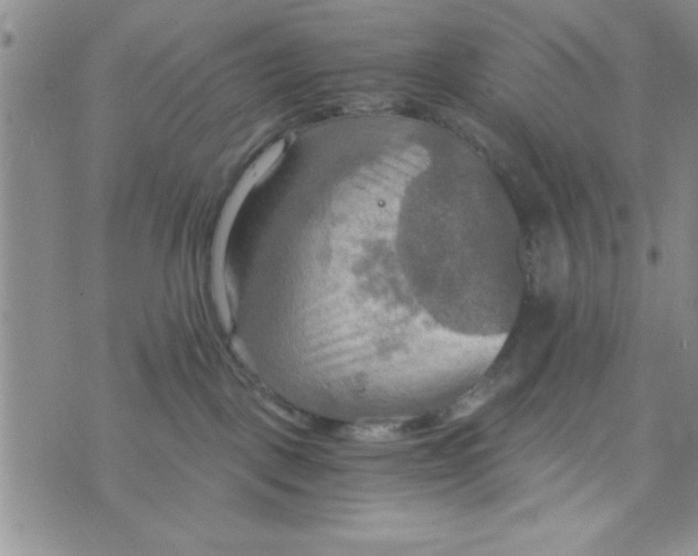 X0000075890093200610062103