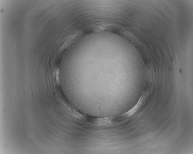 X0000075890094200610062103