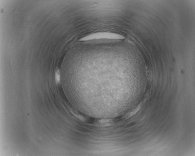 X0000075890095200610062103