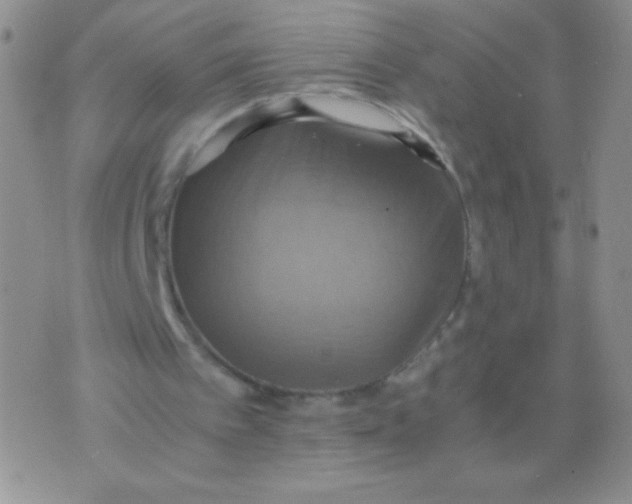 X0000075890097200610062103