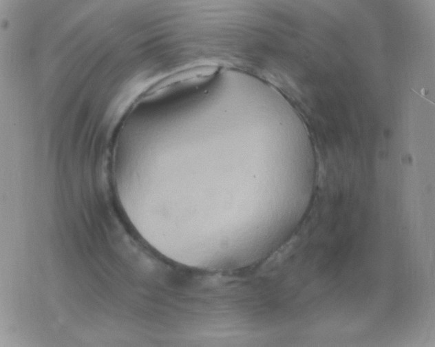 X0000075890098200610062103